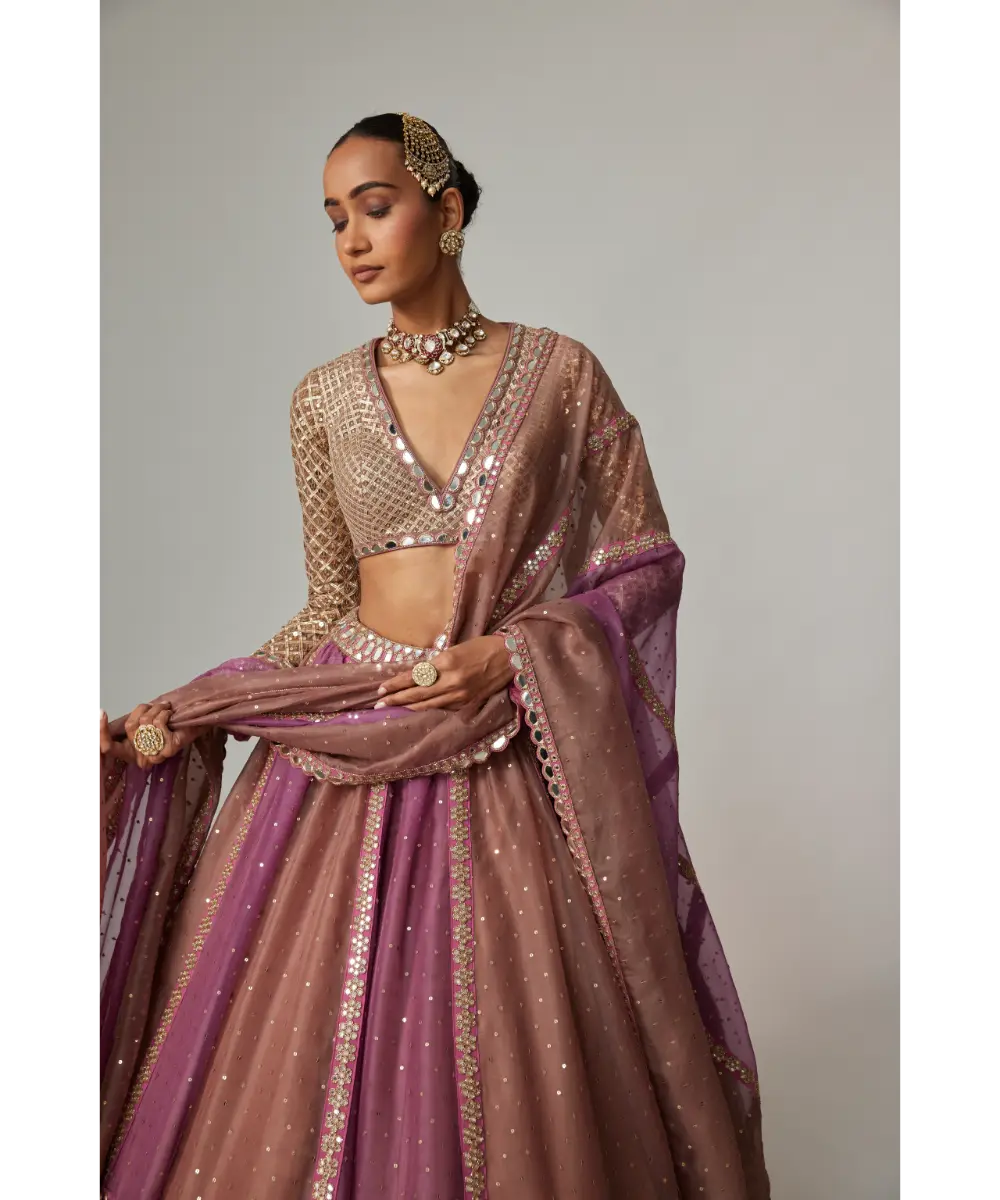 VVANI VATS - Mud mauve multicolor Chita Sequin Scattered Lehenga Set with V neck Full Sleeve